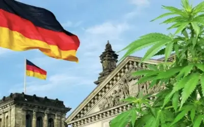 Legalisation of cannabis in Germany, a monetary business
